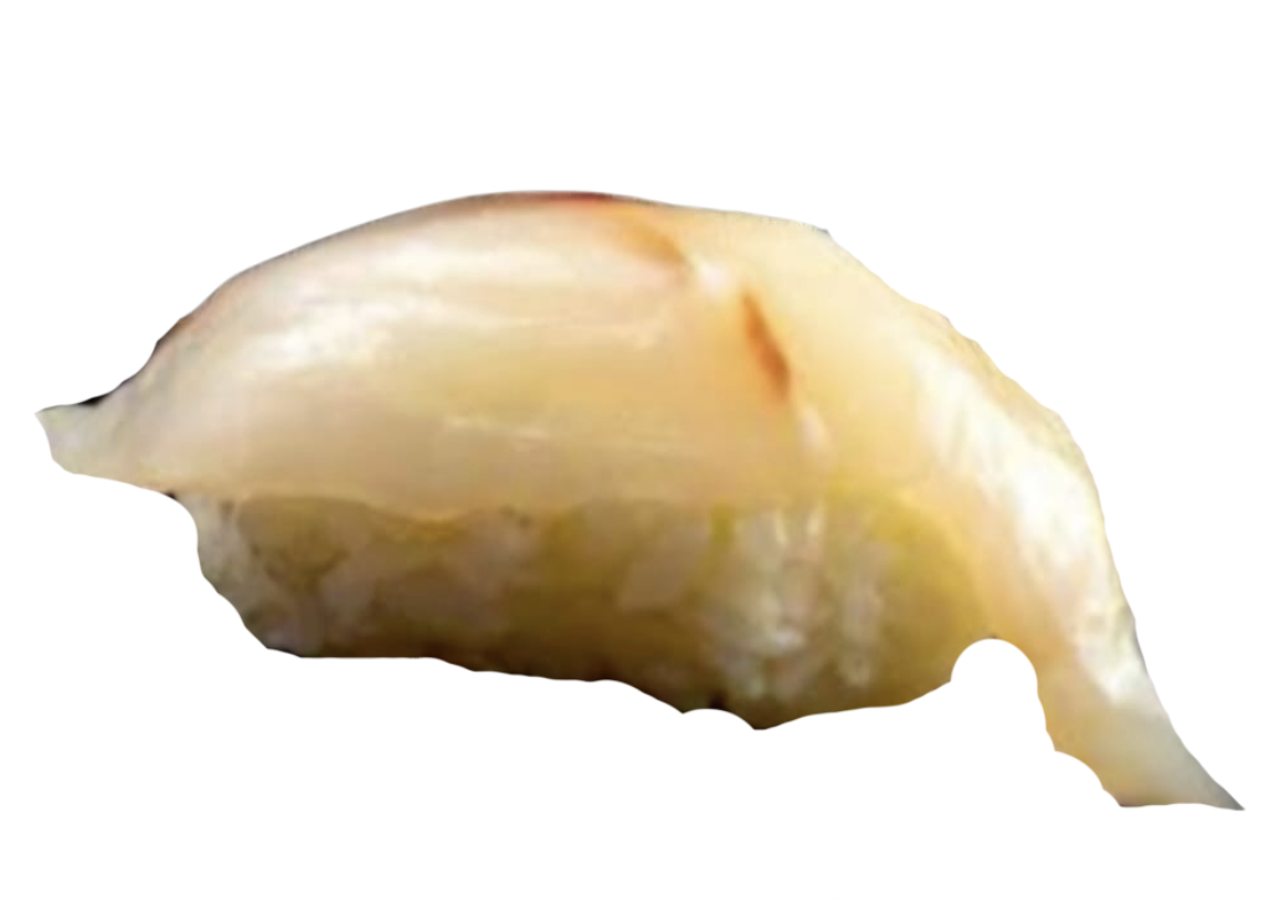 SUZUKİ NİGİRİ (2 pcs.)